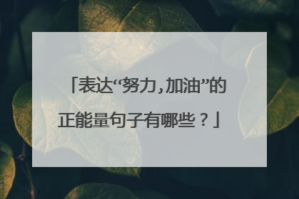 表达“努力,加油”的正能量句子有哪些？