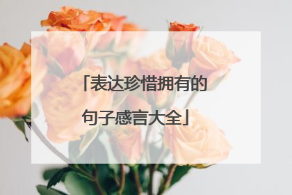表达珍惜拥有的句子感言大全