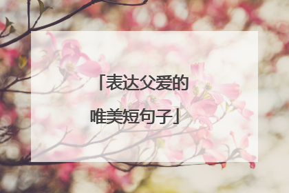 表达父爱的唯美短句子