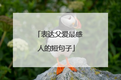 表达父爱最感人的短句子