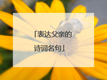 表达父亲的诗词名句