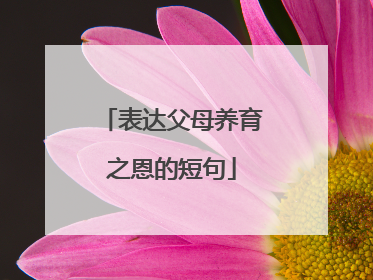 表达父母养育之恩的短句