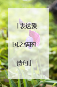表达爱国之情的诗句