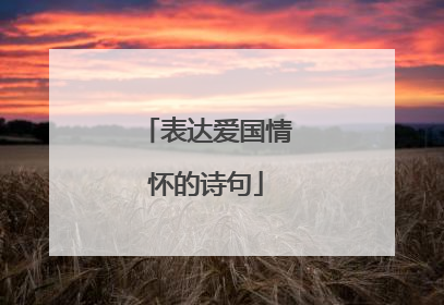 表达爱国情怀的诗句