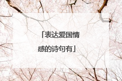 表达爱国情感的诗句有