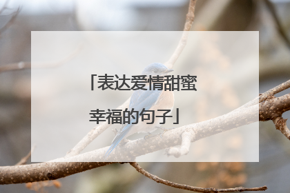 表达爱情甜蜜幸福的句子