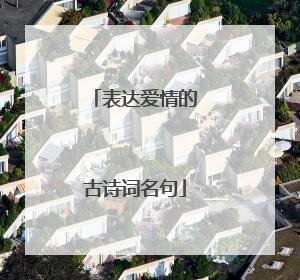 表达爱情的古诗词名句