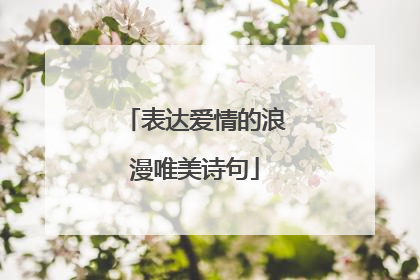表达爱情的浪漫唯美诗句