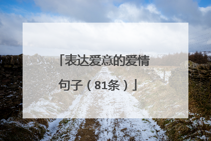 表达爱意的爱情句子（81条）