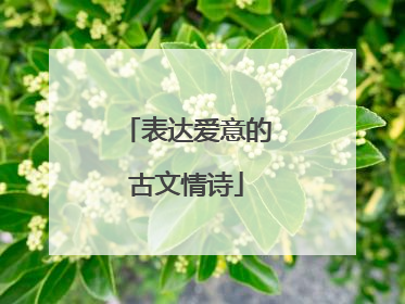 表达爱意的古文情诗