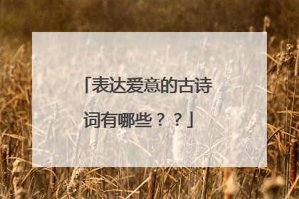 表达爱意的古诗词有哪些??