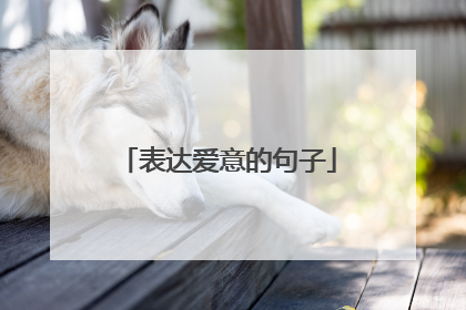 表达爱意的句子
