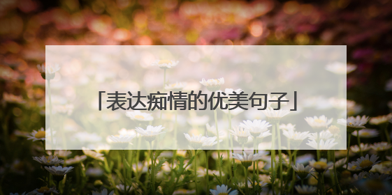 表达痴情的优美句子