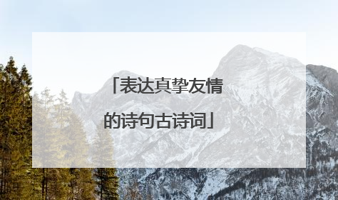 表达真挚友情的诗句古诗词
