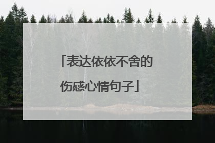 表达依依不舍的伤感心情句子