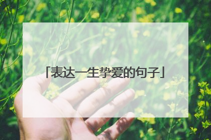 表达一生挚爱的句子