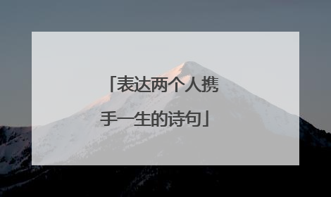 表达两个人携手一生的诗句