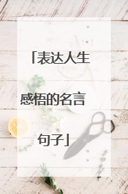表达人生感悟的名言句子