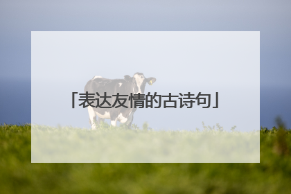 表达友情的古诗句