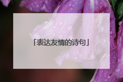 表达友情的诗句
