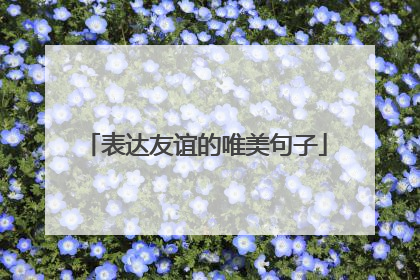 表达友谊的唯美句子
