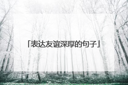 表达友谊深厚的句子