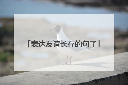 表达友谊长存的句子