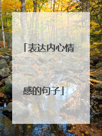 表达内心情感的句子