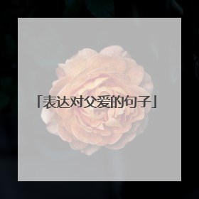 表达对父爱的句子