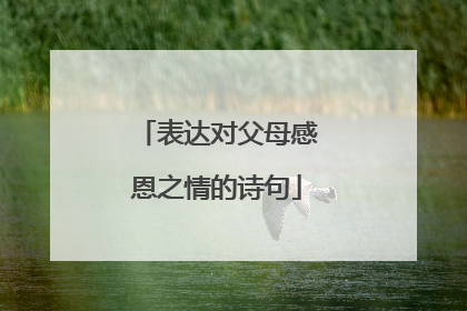 表达对父母感恩之情的诗句