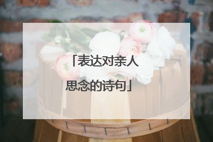 表达对亲人思念的诗句