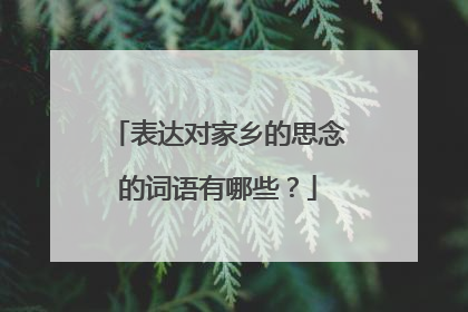 表达对家乡的思念的词语有哪些？