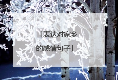 表达对家乡的感情句子