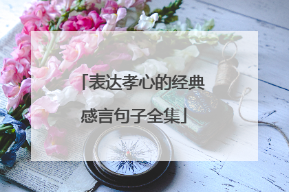 表达孝心的经典感言句子全集