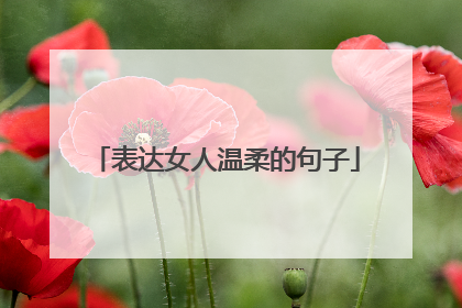表达女人温柔的句子