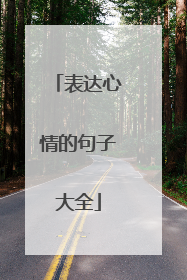 表达心情的句子大全