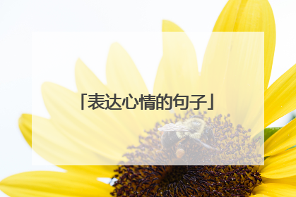 表达心情的句子
