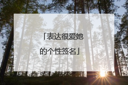 表达很爱她的个性签名