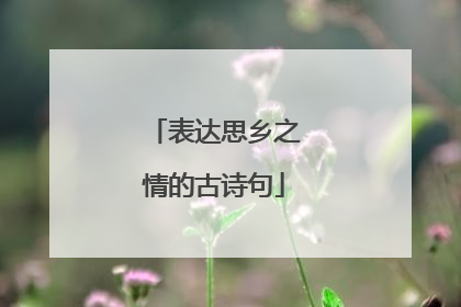 表达思乡之情的古诗句