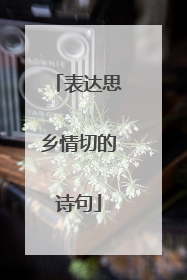 表达思乡情切的诗句