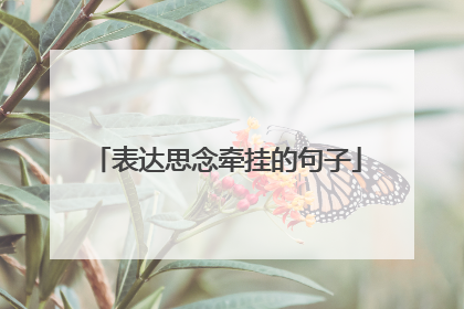 表达思念牵挂的句子