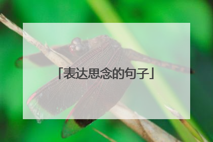 表达思念的句子