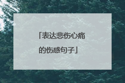 表达悲伤心痛的伤感句子