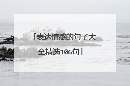 表达情感的句子大全精选106句