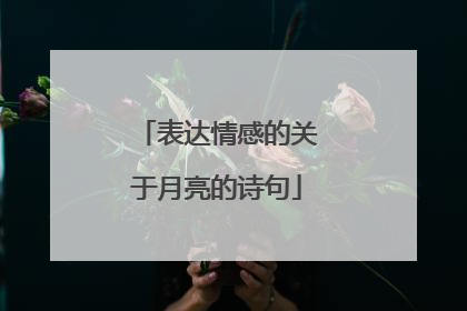 表达情感的关于月亮的诗句