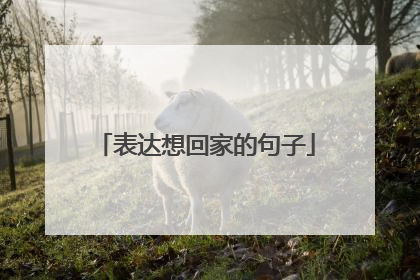 表达想回家的句子