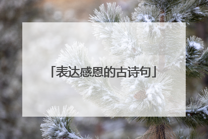 表达感恩的古诗句
