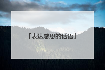 表达感恩的话语