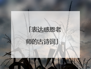 表达感恩老师的古诗词