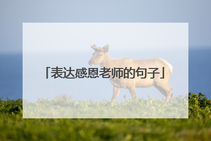 表达感恩老师的句子
